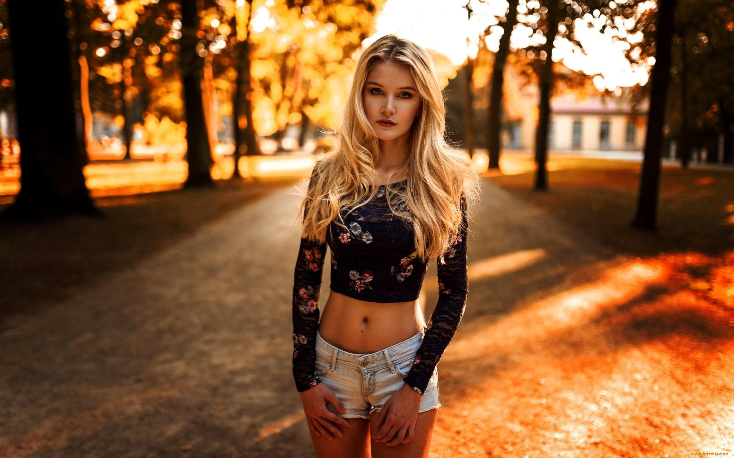 , - ,  , , , , , , 